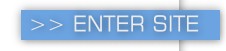 click here to enter the website